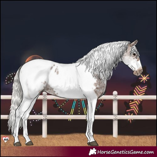 Horse Color:Unknown 