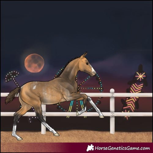 Horse Color:Buckskin Varnish Rabicano
