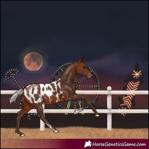 Horse Color:Silver Brown Blanket