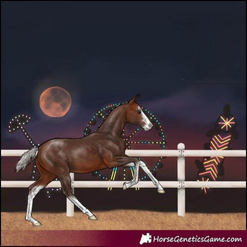 Horse Color:White Spotted Silver Brown