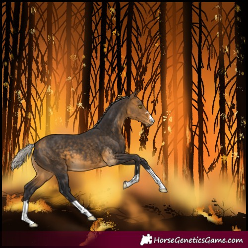 Horse Color:Silver Buckskin 