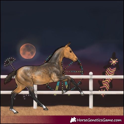Horse Color:Buckskin 