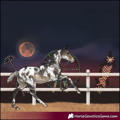 Horse Color:White Spotted Silver Smoky Black Blanket Rabicano 
