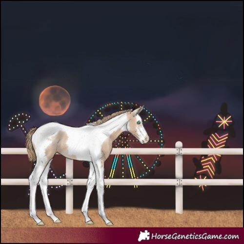 Horse Color:White Spotted Smoky Creme Tobiano Varnish 