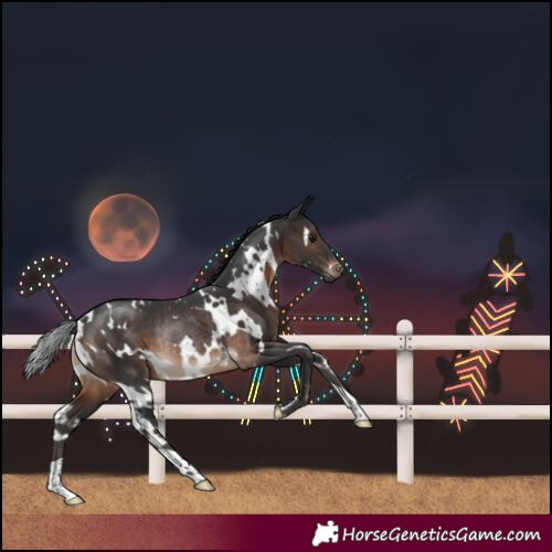 Horse Color:White Spotted Brown Rabicano 