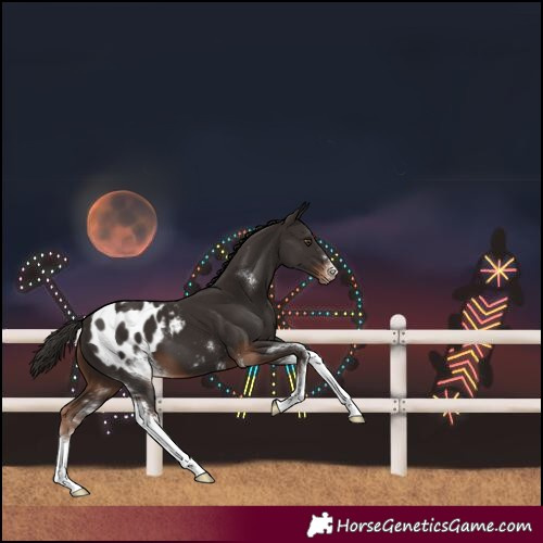 Horse Color:Liver Chestnut Sabino Blanket 