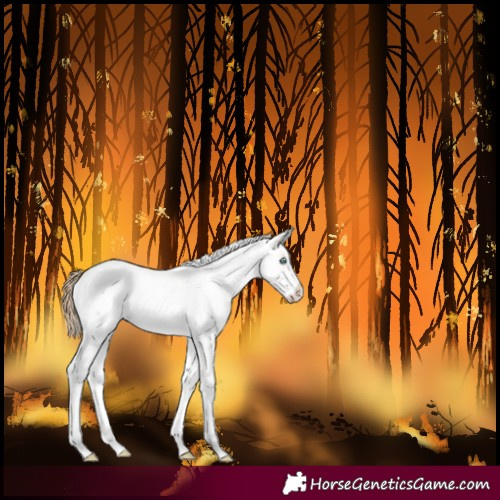 Horse Color:White Spotted Perlino Varnish 