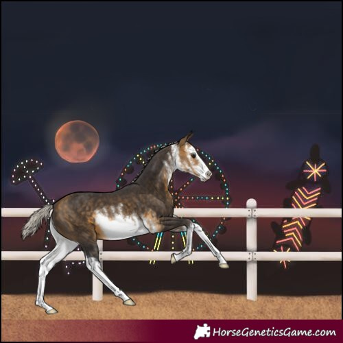 Horse Color:White Spotted Silver Buckskin