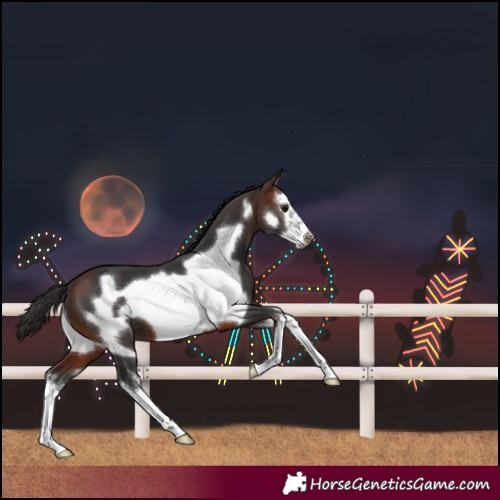Horse Color:White Spotted Brown Frame 