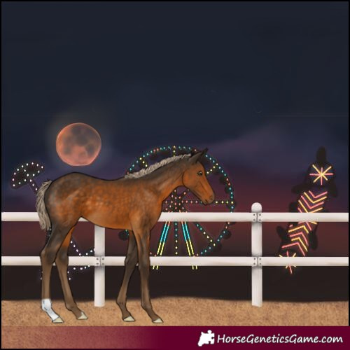 Horse Color:Chocolate Palomino