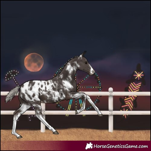 Horse Color:White Spotted Silver Black Blanket