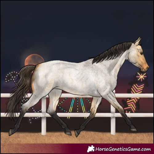 Horse Color:Buckskin Roan Dun