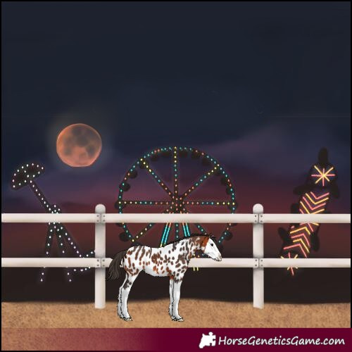 Horse Color:Bay Splash Near Leopard