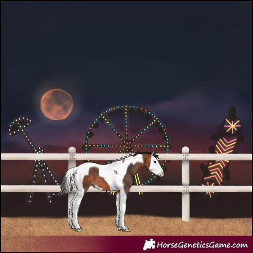 Horse Color:Bay Splash Tobiano Varnish