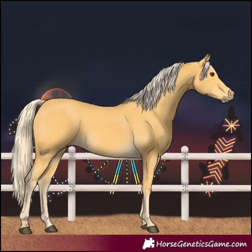 Horse Color:Palomino 