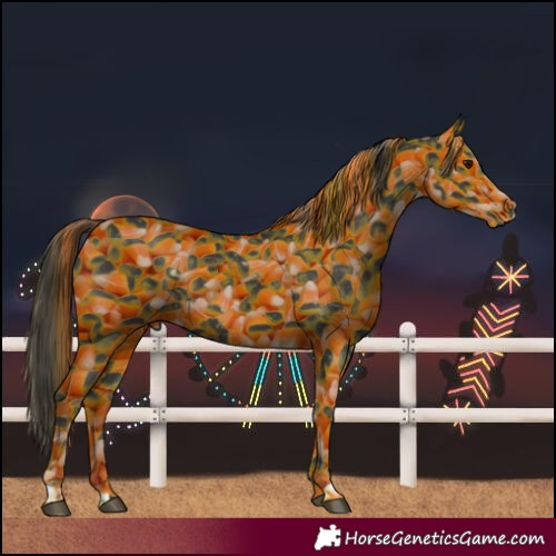 Horse Color:Smoky Black 