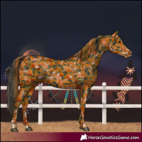 Horse Color:Smoky Black