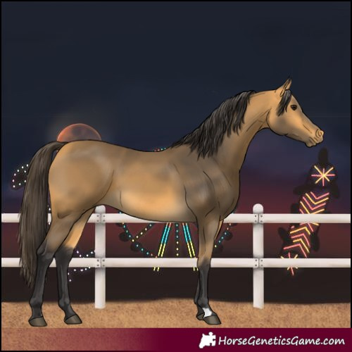 Horse Color:Buckskin