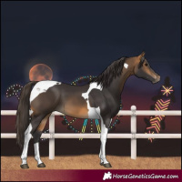 Horse Color:Unknown 