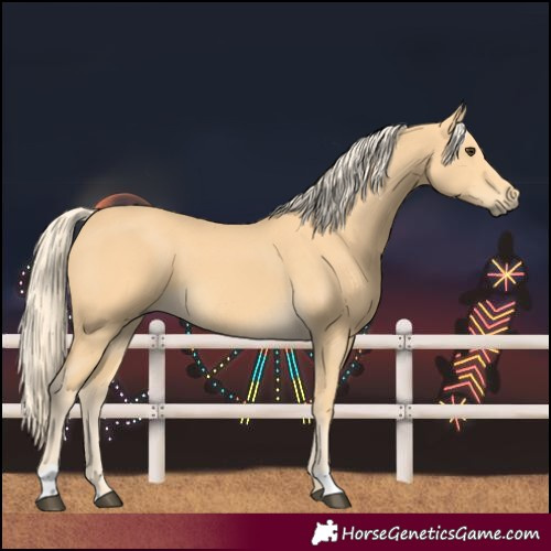 Horse Color:Palomino 