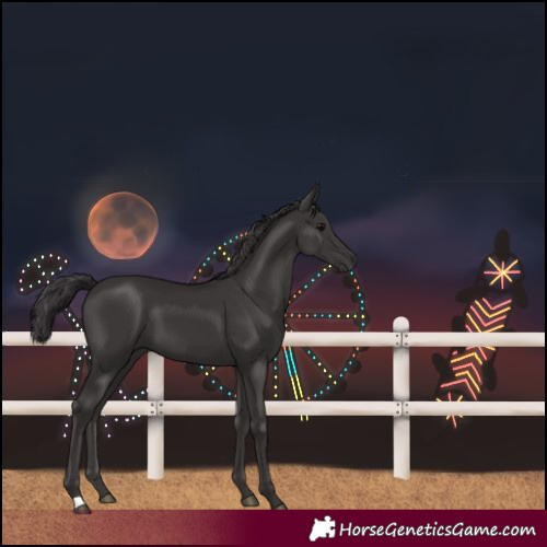 Horse Color:Smoky Black