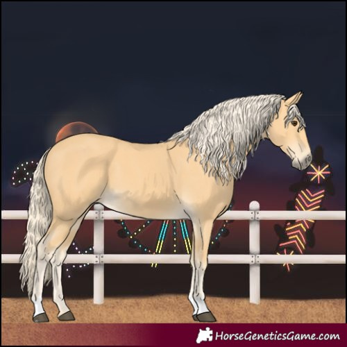 Horse Color:Palomino 
