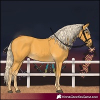 Horse Color:Palomino 