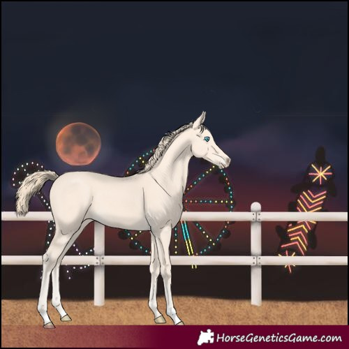 Horse Color:Perlino 