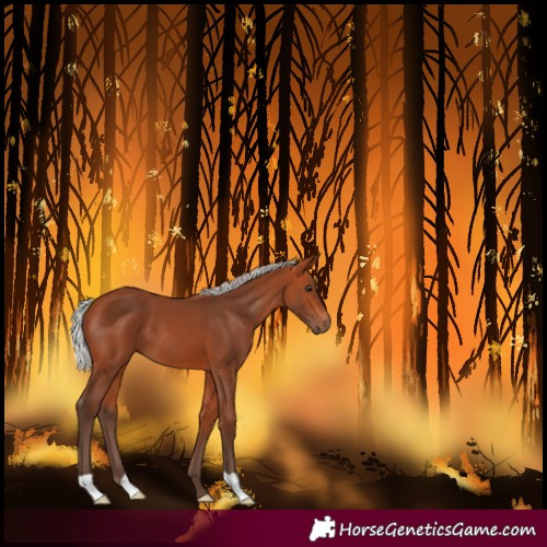 Horse Color:Silver Bay