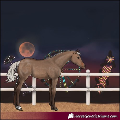 Horse Color:Silver Brown Dun