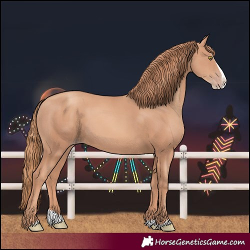 Horse Color:Gold Champagne Splash 