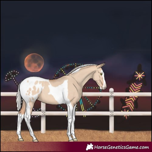 Horse Color:Silver Amber Champagne Dun Splash Tobiano Blanket