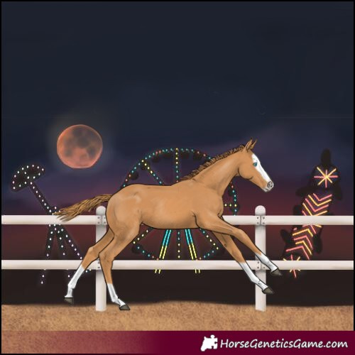 Horse Color:Chestnut Splash Rabicano