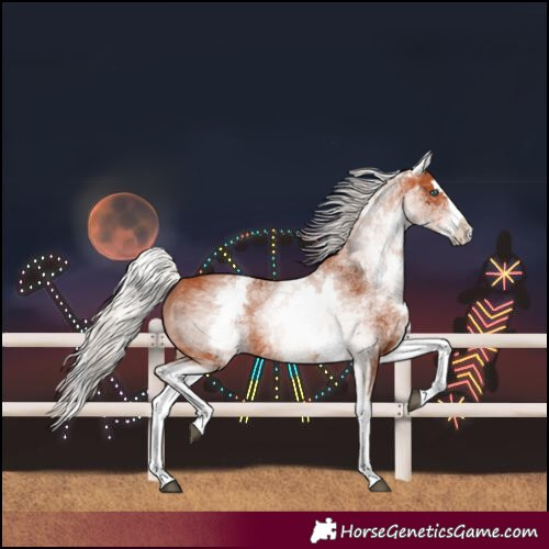 Horse Color:White Spotted Silver Bay Splash 