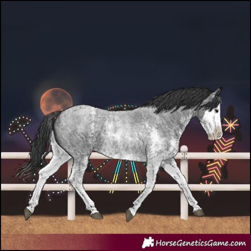 Horse Color:Blue Roan Sabino Splash Rabicano  and Blue Roan Sabino Splash Rabicano 