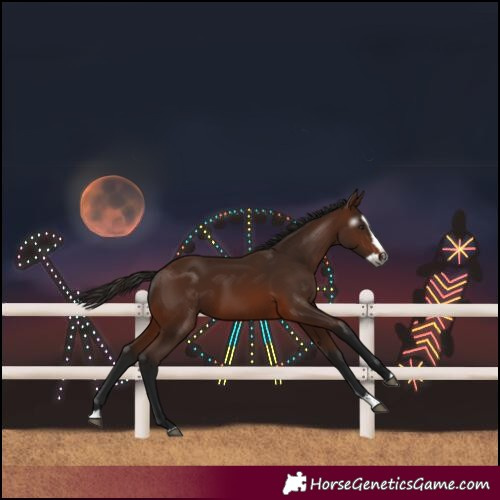 Horse Color:Gray Bay Splash 