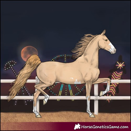 Horse Color:Gold Champagne 