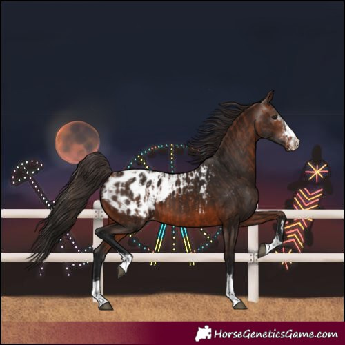 Horse Color:Bay Blanket  and Gray Bay Blanket 