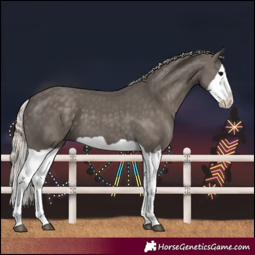 Horse Color:Silver Black Splash