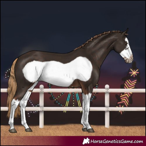 Horse Color:Liver Chestnut Splash Frame