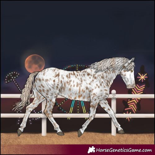 Horse Color:Chocolate Palomino Near Leopard  and Chocolate Palomino Splash Near Leopard 
