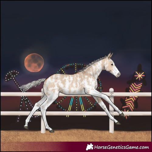 Horse Color:Silver Bay Dun Sabino