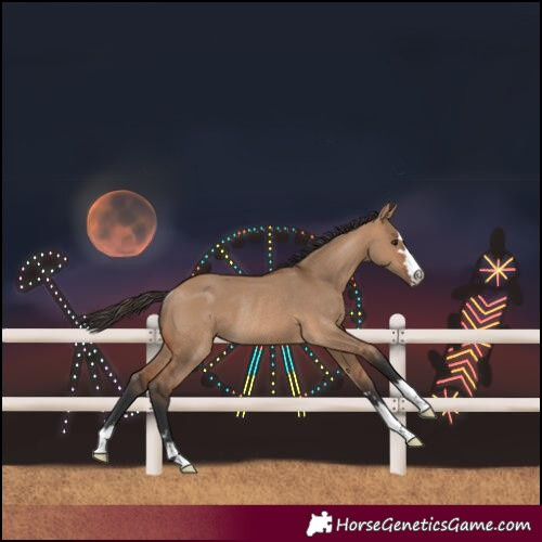 Horse Color:Bay Dun Rabicano