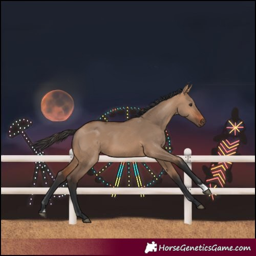 Horse Color:Bay Dun 