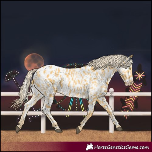 Horse Color:Palomino Near Leopard and Palomino Near Leopard