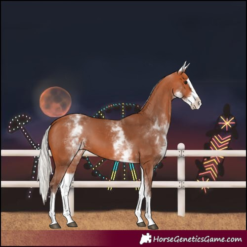 Horse Color:Unknown 