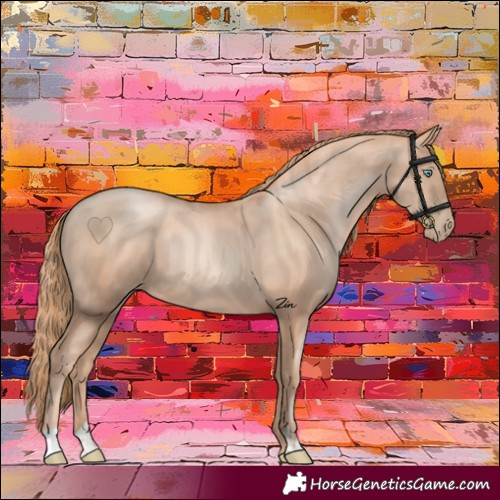 Horse Color:Gold Champagne Pearl Rabicano and Gold Champagne Pearl