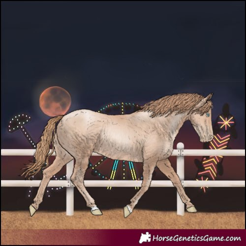 Horse Color:Gold Champagne Pearl Rabicano and Gold Champagne Pearl Rabicano