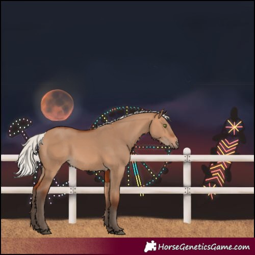 Horse Color:Silver Bay Dun Rabicano 
