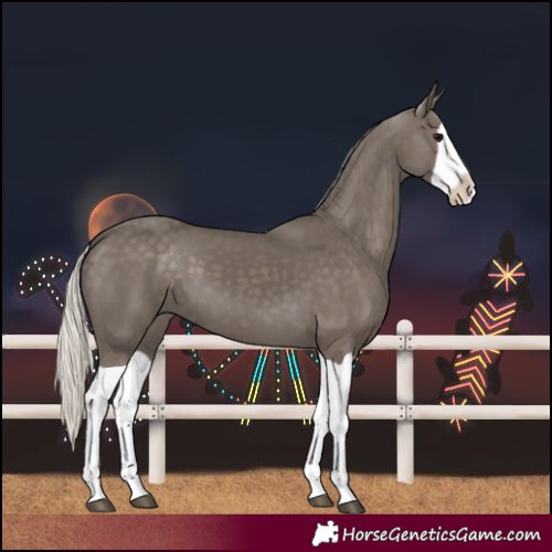 Horse Color:Silver Black Splash